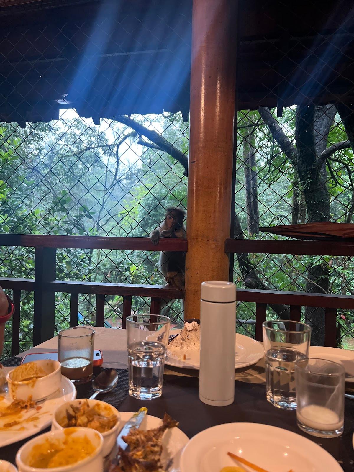 Vythiri Resort Wayanad