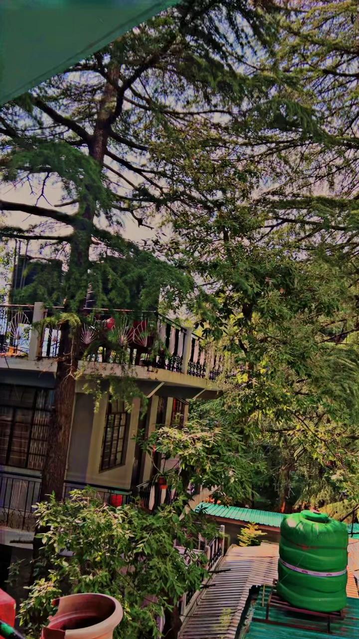 Macleodganj – photo 2