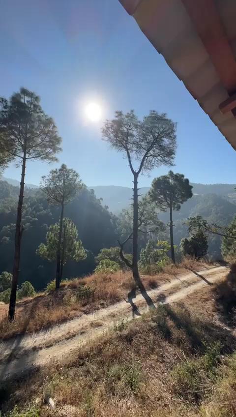 Golden Valley Cottages – photo 2