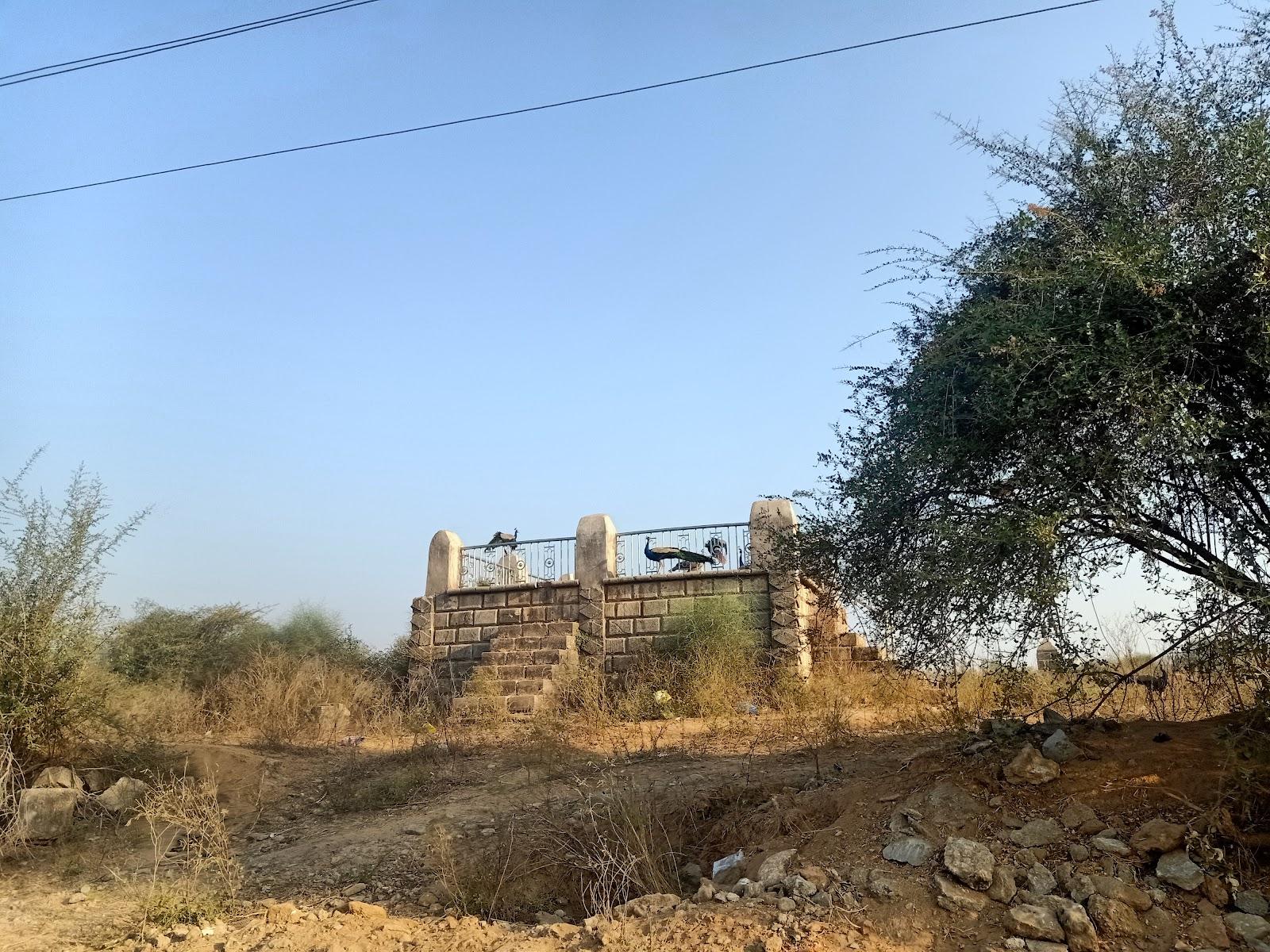 Aluva અલુવા – photo 3