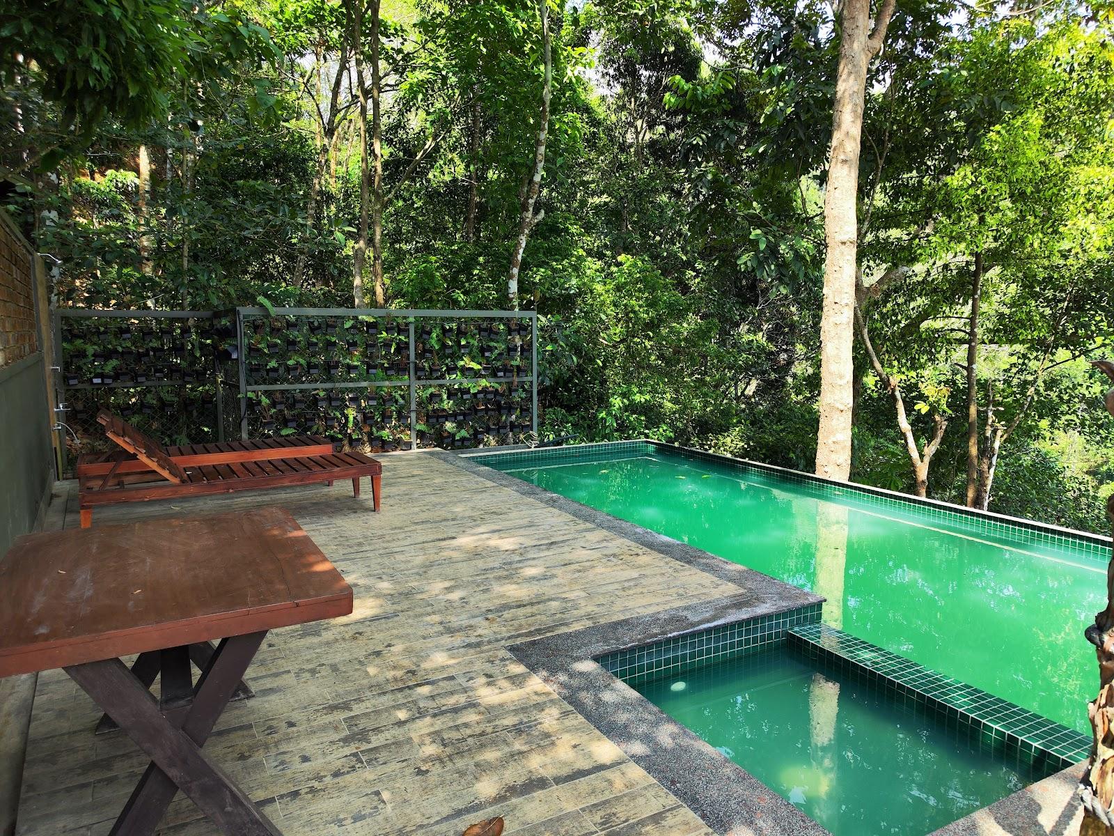 Chembarathi Wayanad Boutique Resort – photo 4