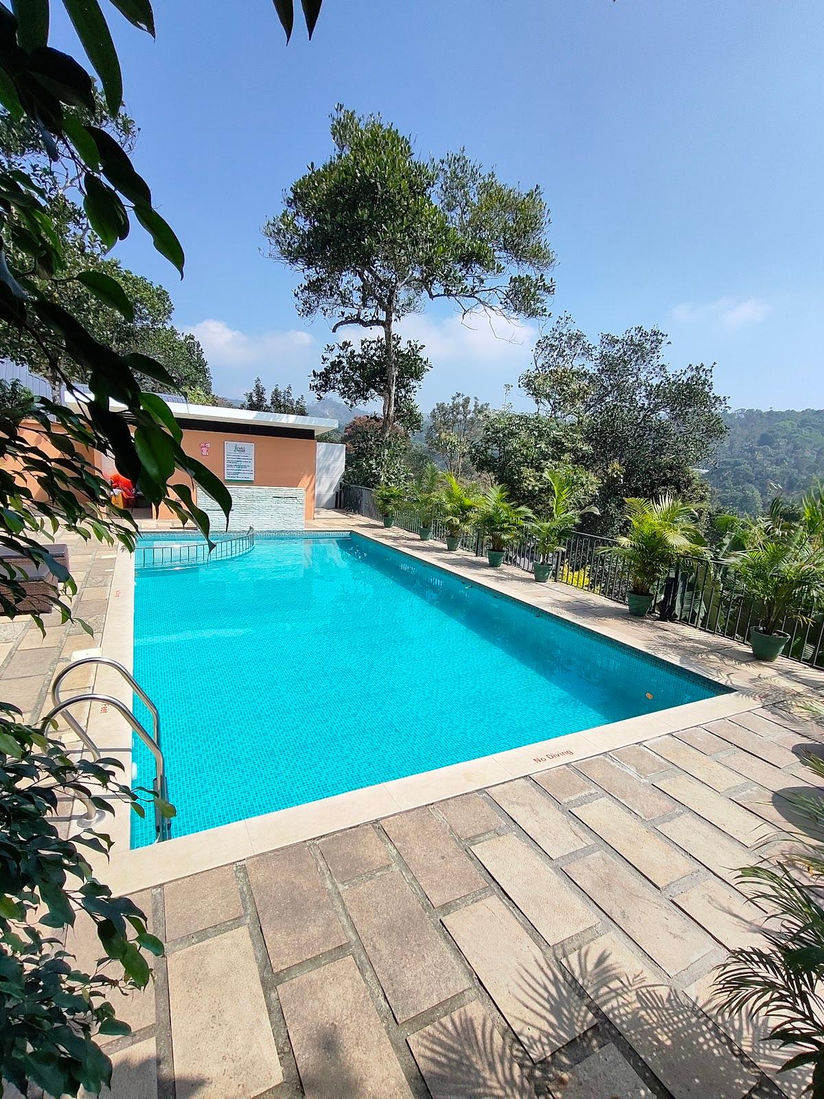 WILD AVENUE RESORT & SPA – photo 4