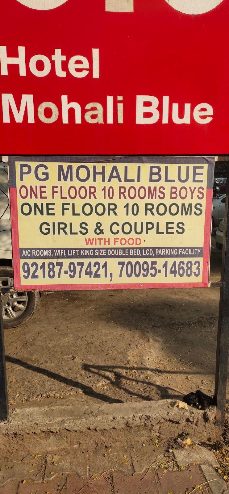 Hotel Mohali Blue – photo 3