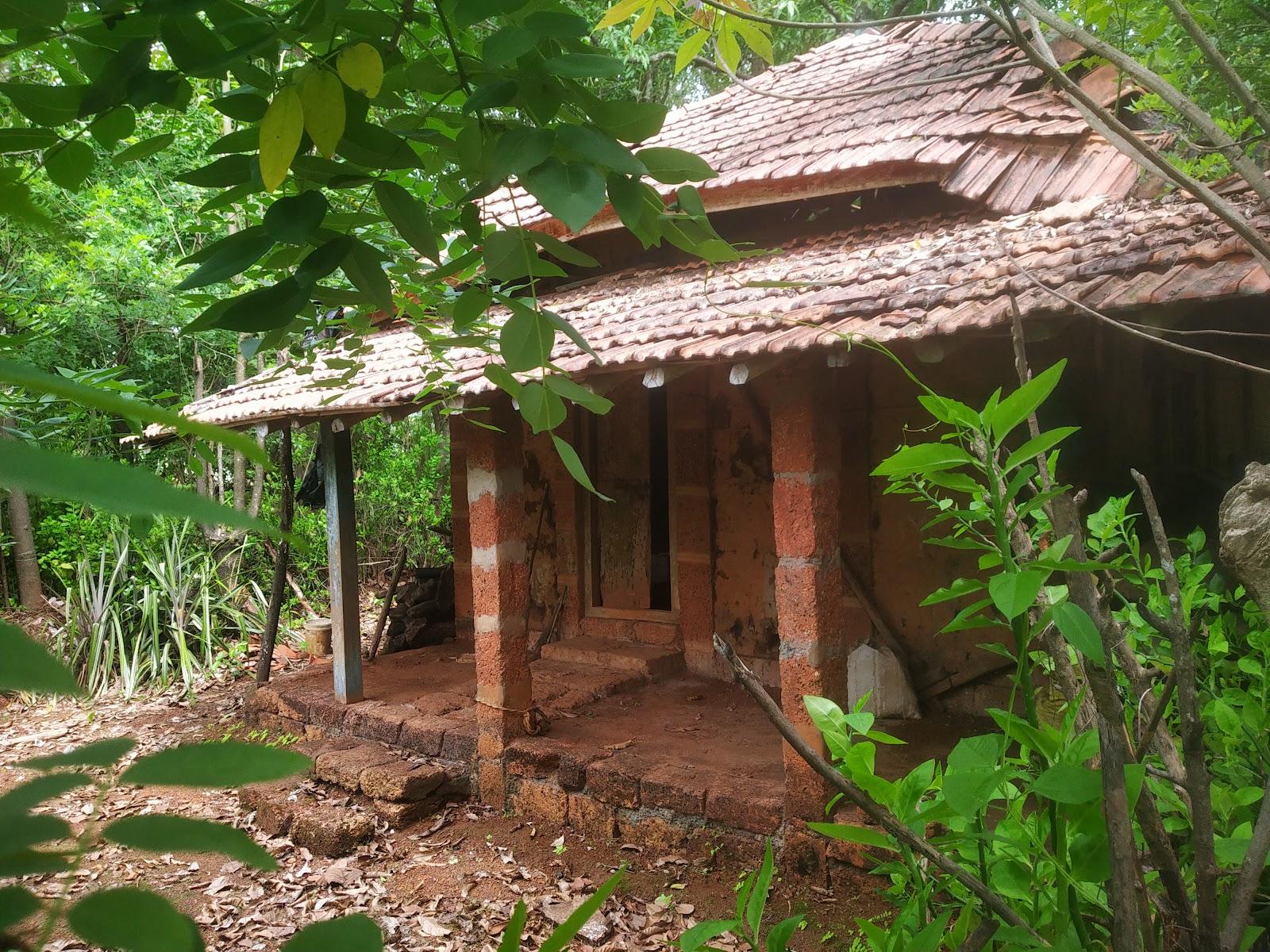 Dapoli Offbeat Fun Home Stay In Village – photo 2