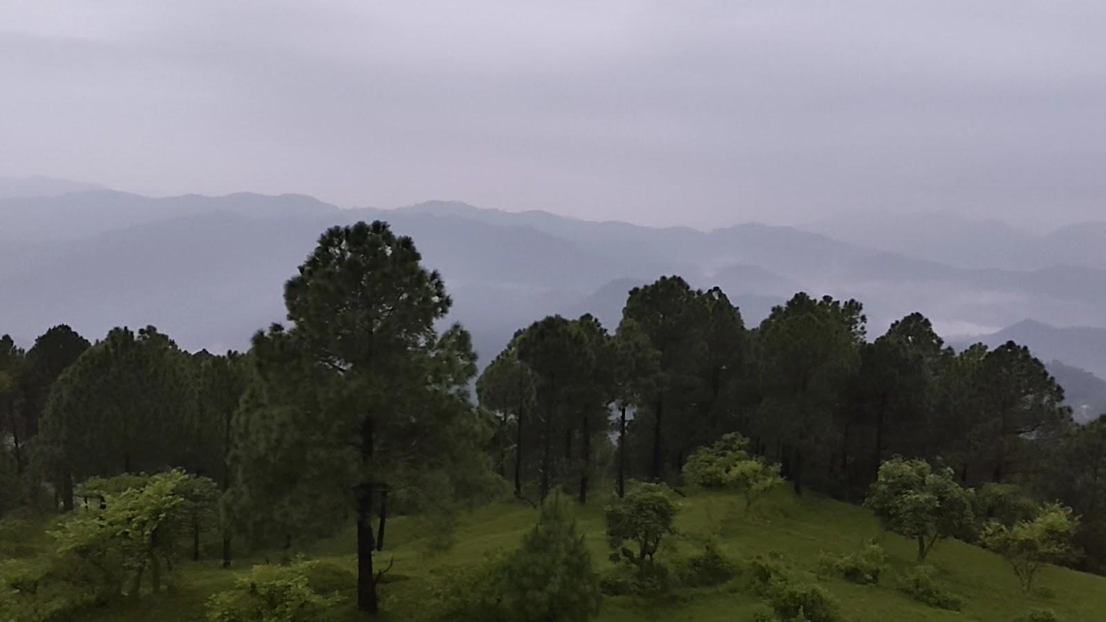 Winterline Gold Resort, Lansdowne – photo 2