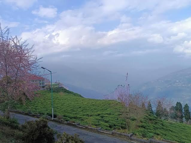 Cherry Resort – photo 4