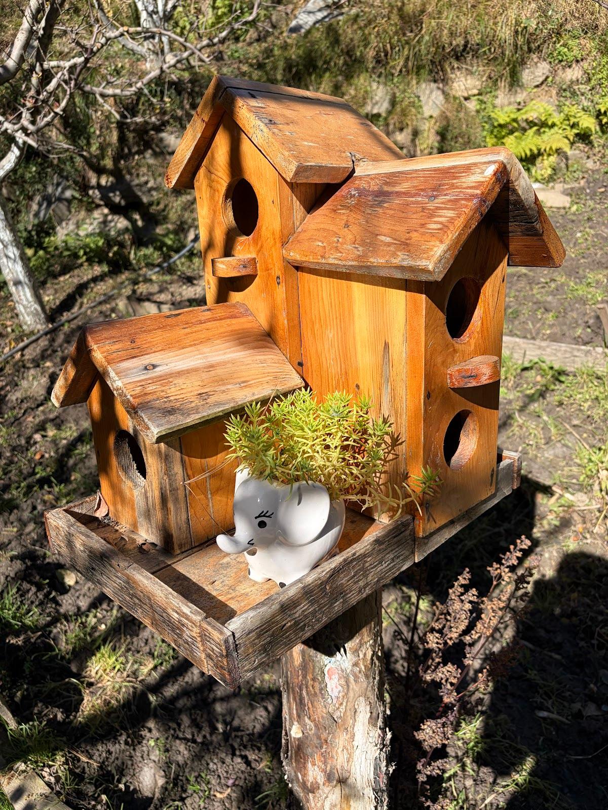 Sage Cabins & Treehouse