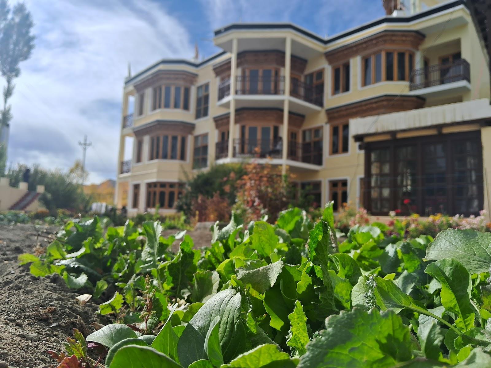 Zaltak Guest House And Hostel