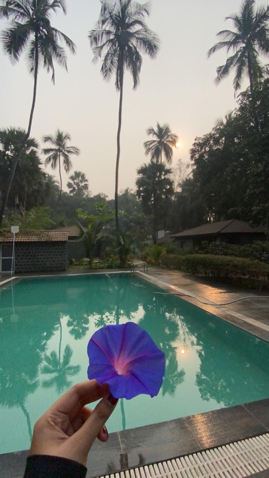 tattvamasi retreat – photo 4
