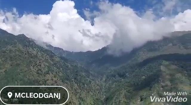 Hotel Greenwoods Inn McLeodganj #Roof top Terrace#Lift#All Balcony Rooms#Close to the Triund Trek Point 400 Mtr Head – photo 2