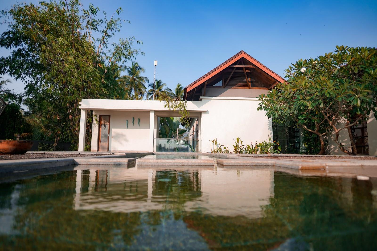 Anaya’s Lakehouse – photo 3