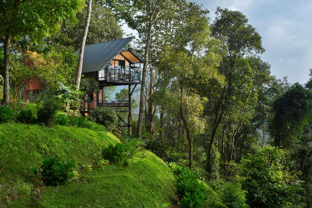 Bamboo Dale Resort Munnar – photo 1