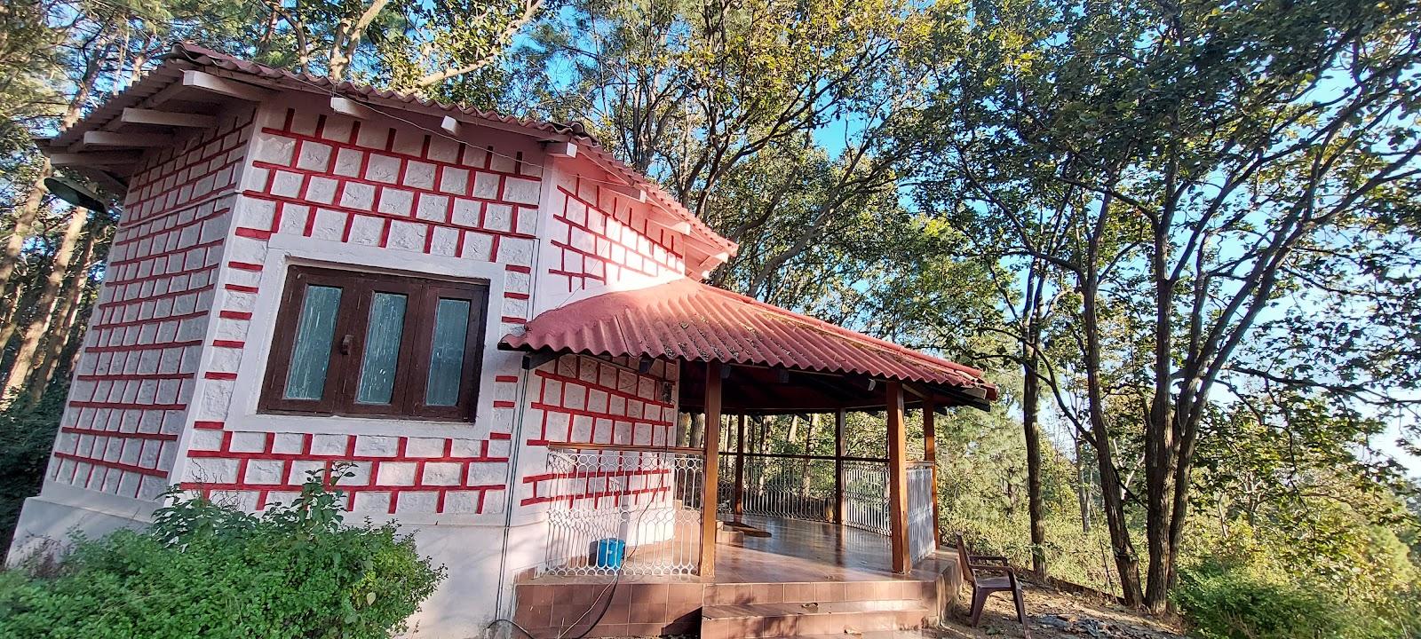 Forest guest house