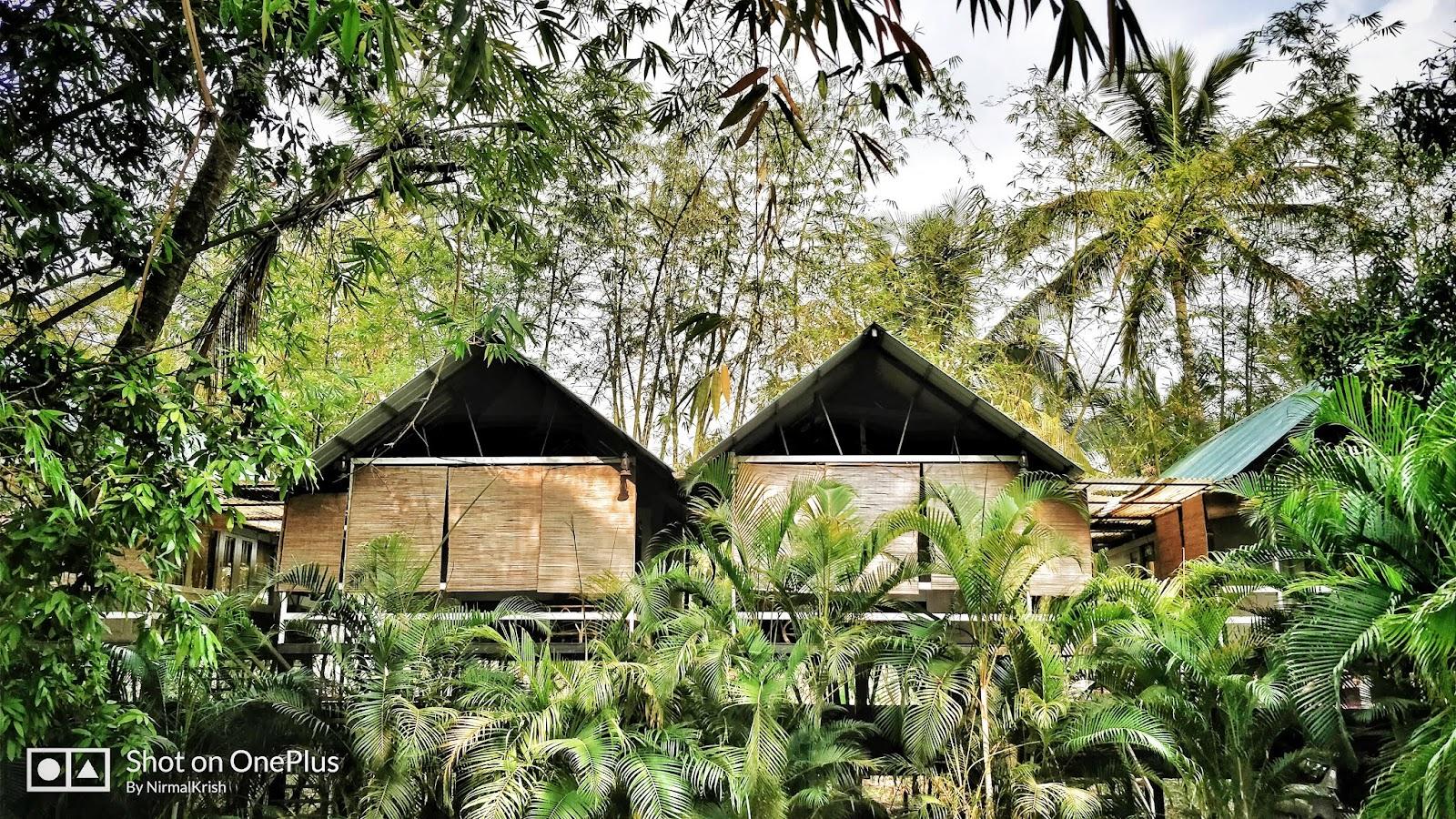 Wayanad Hotels & Resorts