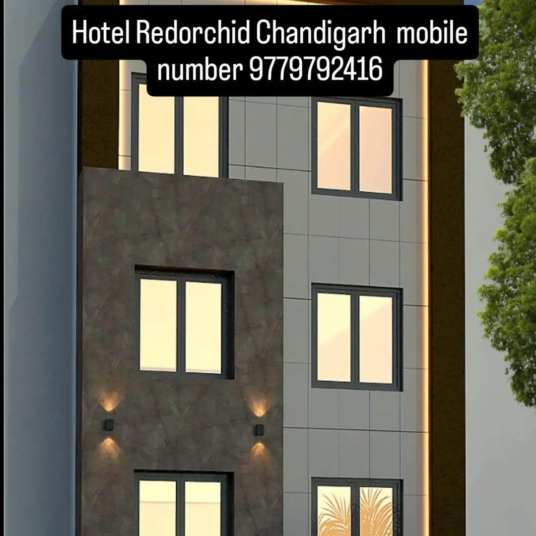 hotel red orchid – photo 1