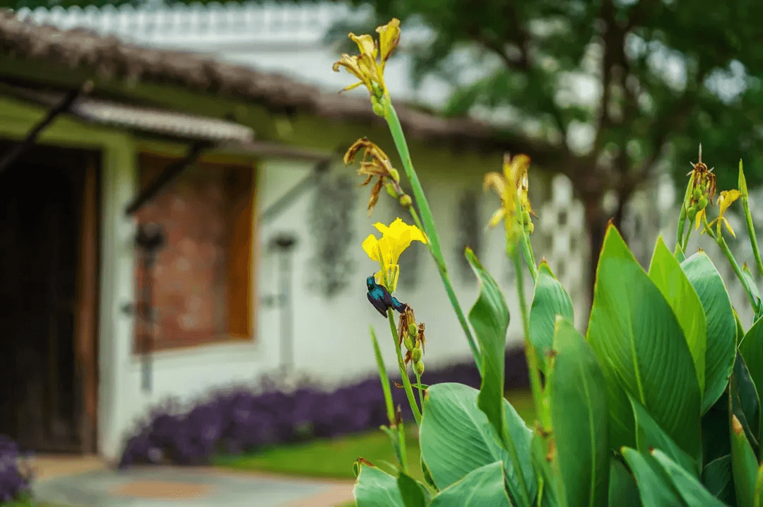 The Kablan Luxury Living – photo 4