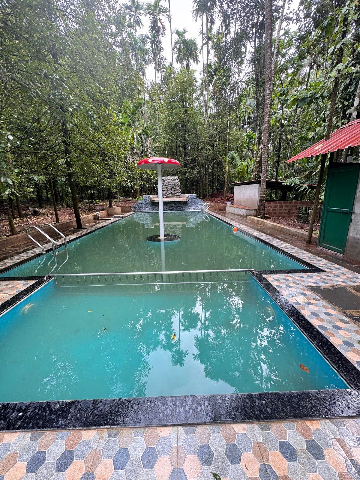 Tanshikar Spice Farm and restaurant with authentic dishes – photo 4