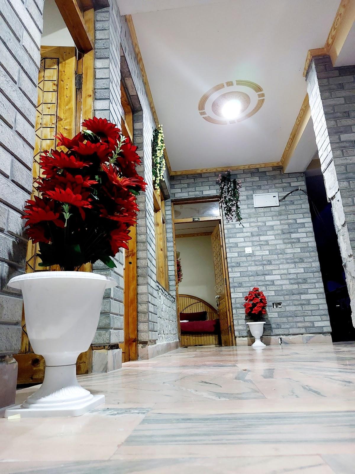 Village Villa Manali – photo 1