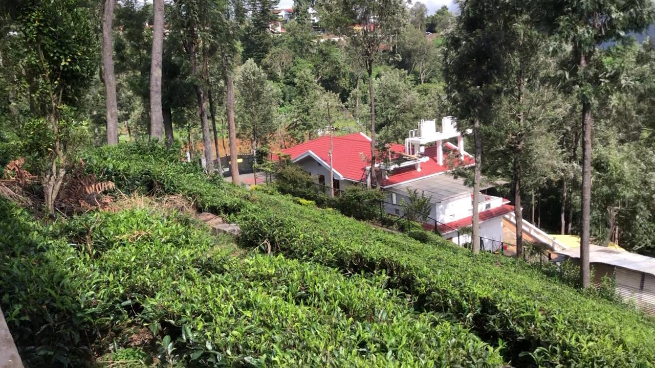 GREEN MIST RESORT – photo 2