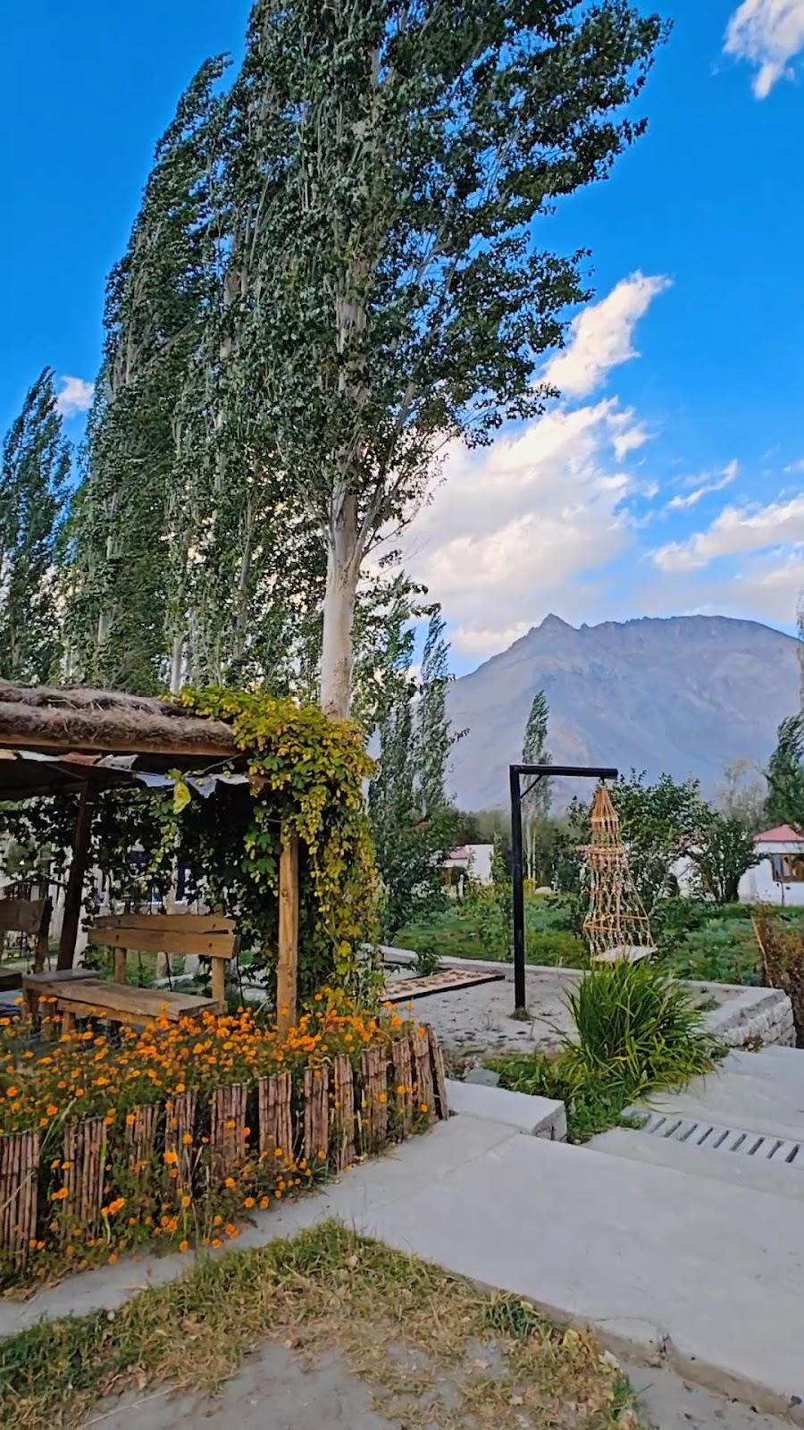 Himalayan Eco Resort - Hotel & Resort in Hunder, Nubra Valley Leh Ladakh – photo 2