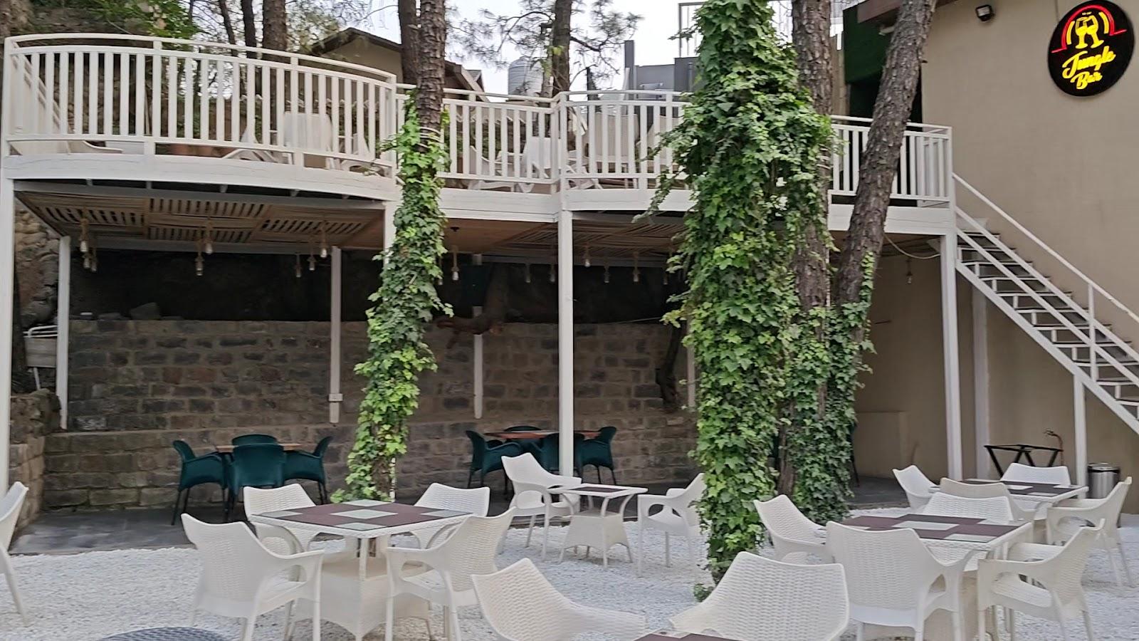 Jungle Lodge Resorts – photo 2