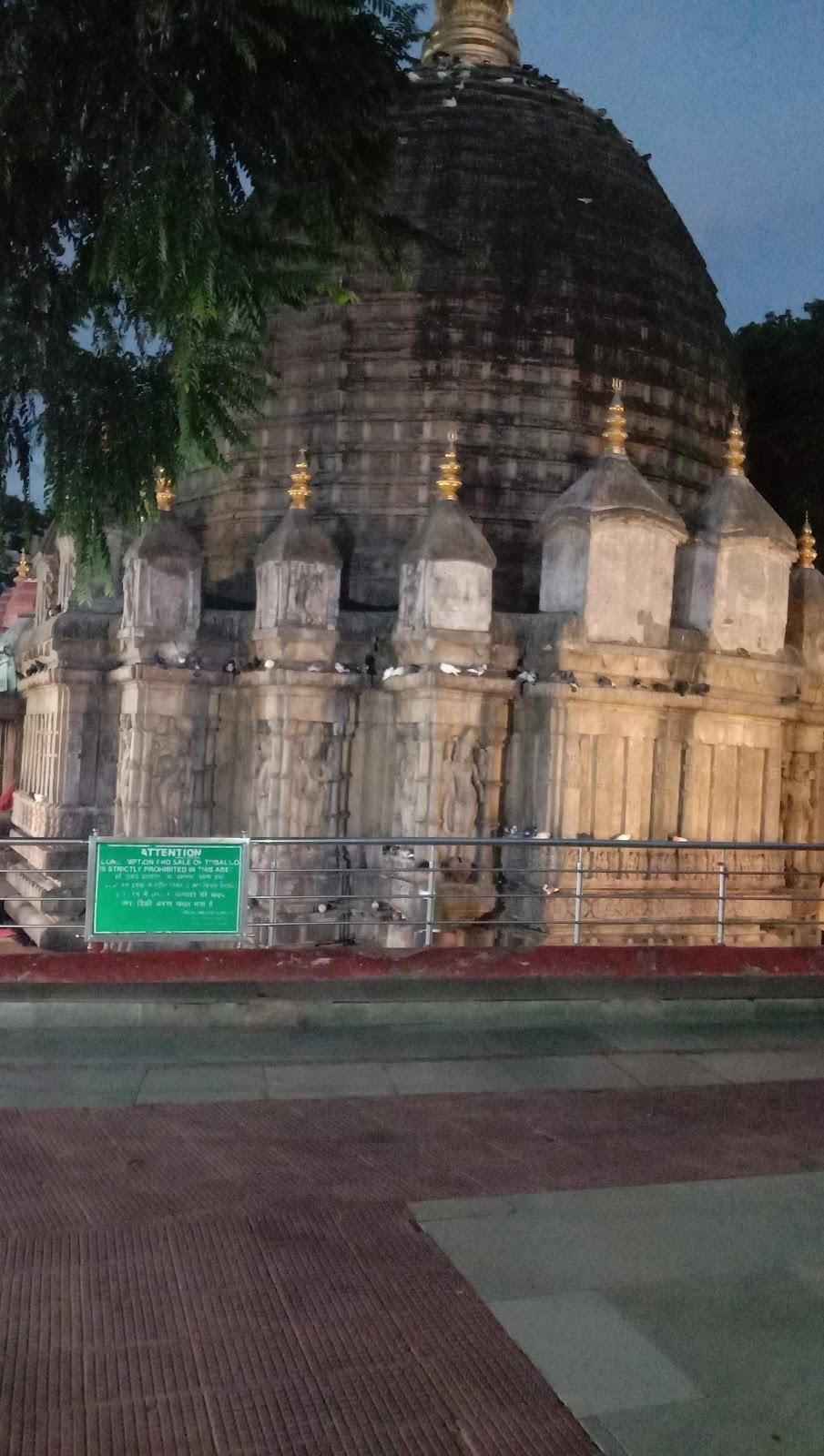 Kamakhya Lodge – photo 3