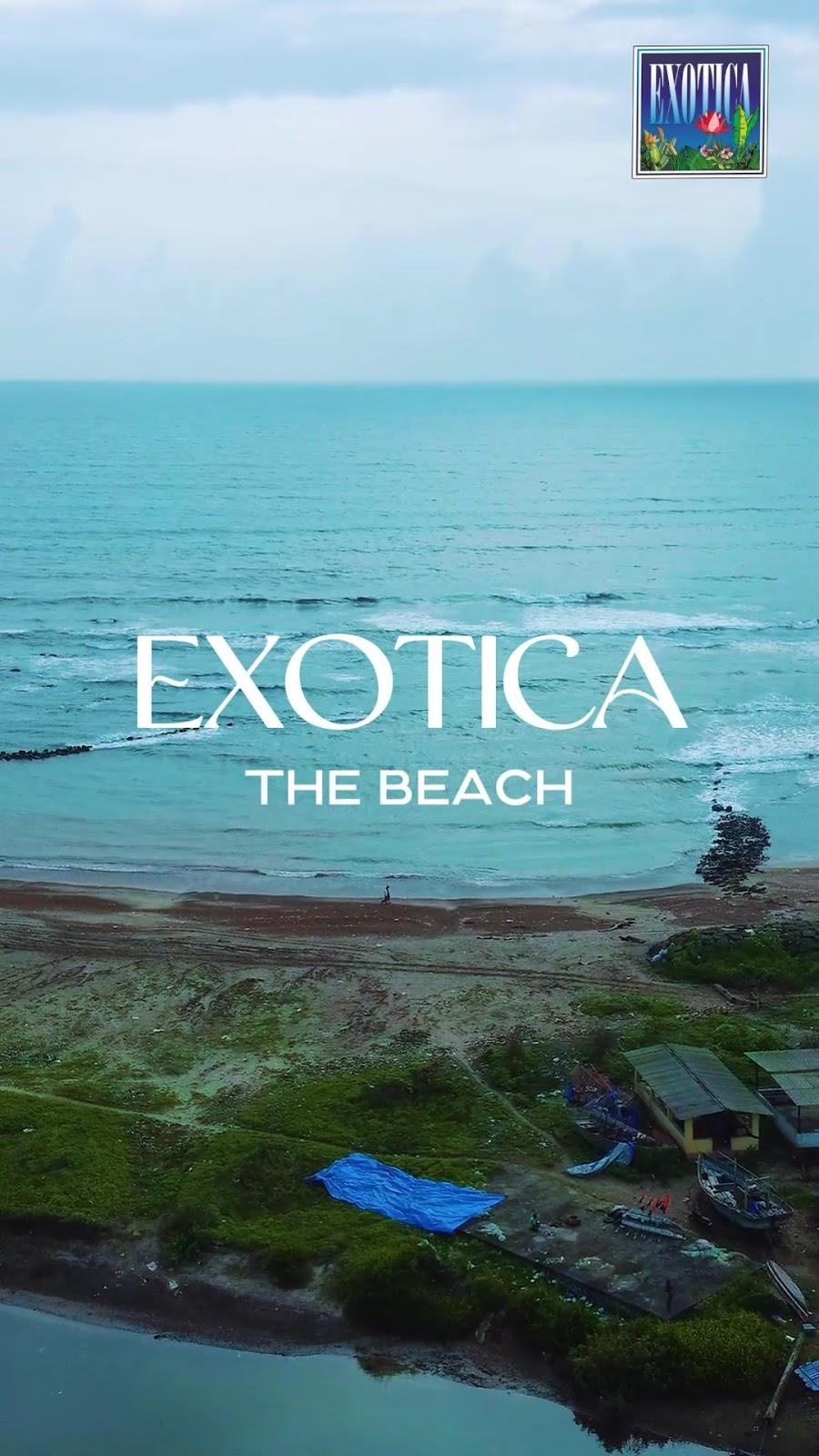 Exotica The Beach Resort – photo 2