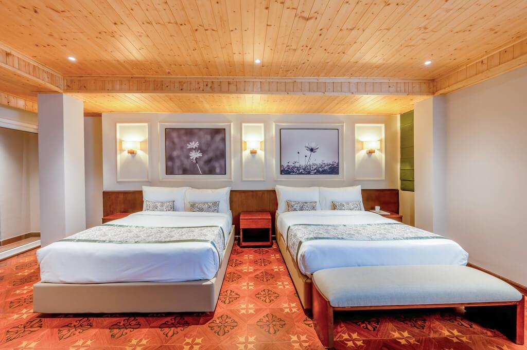 Udaan Metho Pelri Resort, Lachung – photo 3