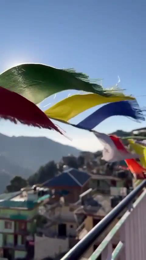 Shimla Hotels – photo 3