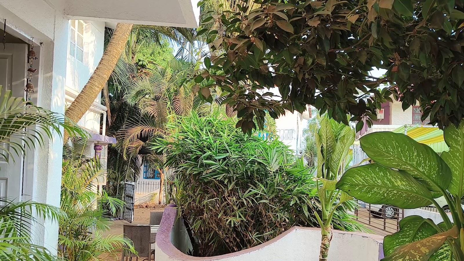 Sugar Plum Hotel Baga – photo 2