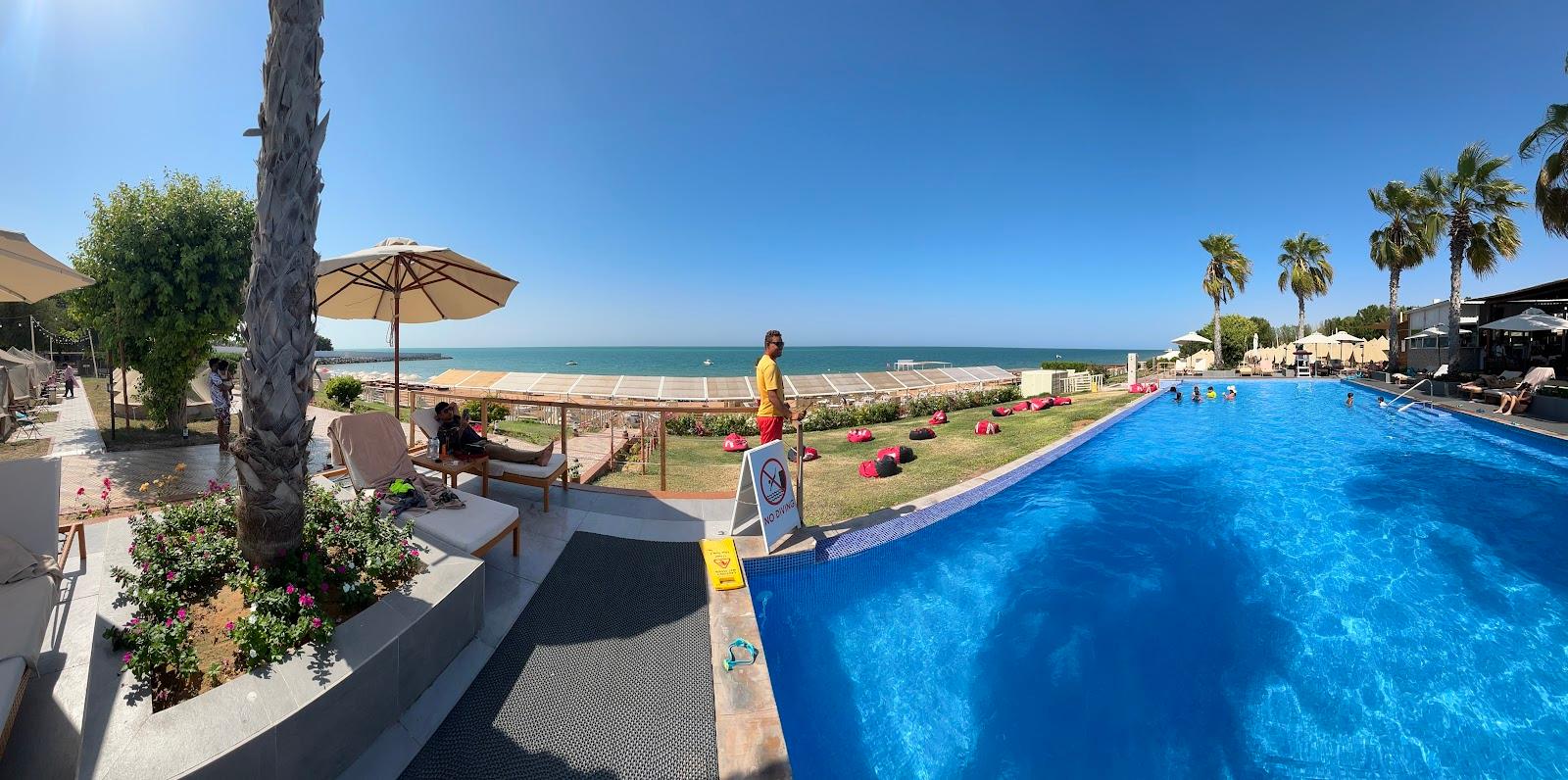 BM Beach Hotel – photo 4