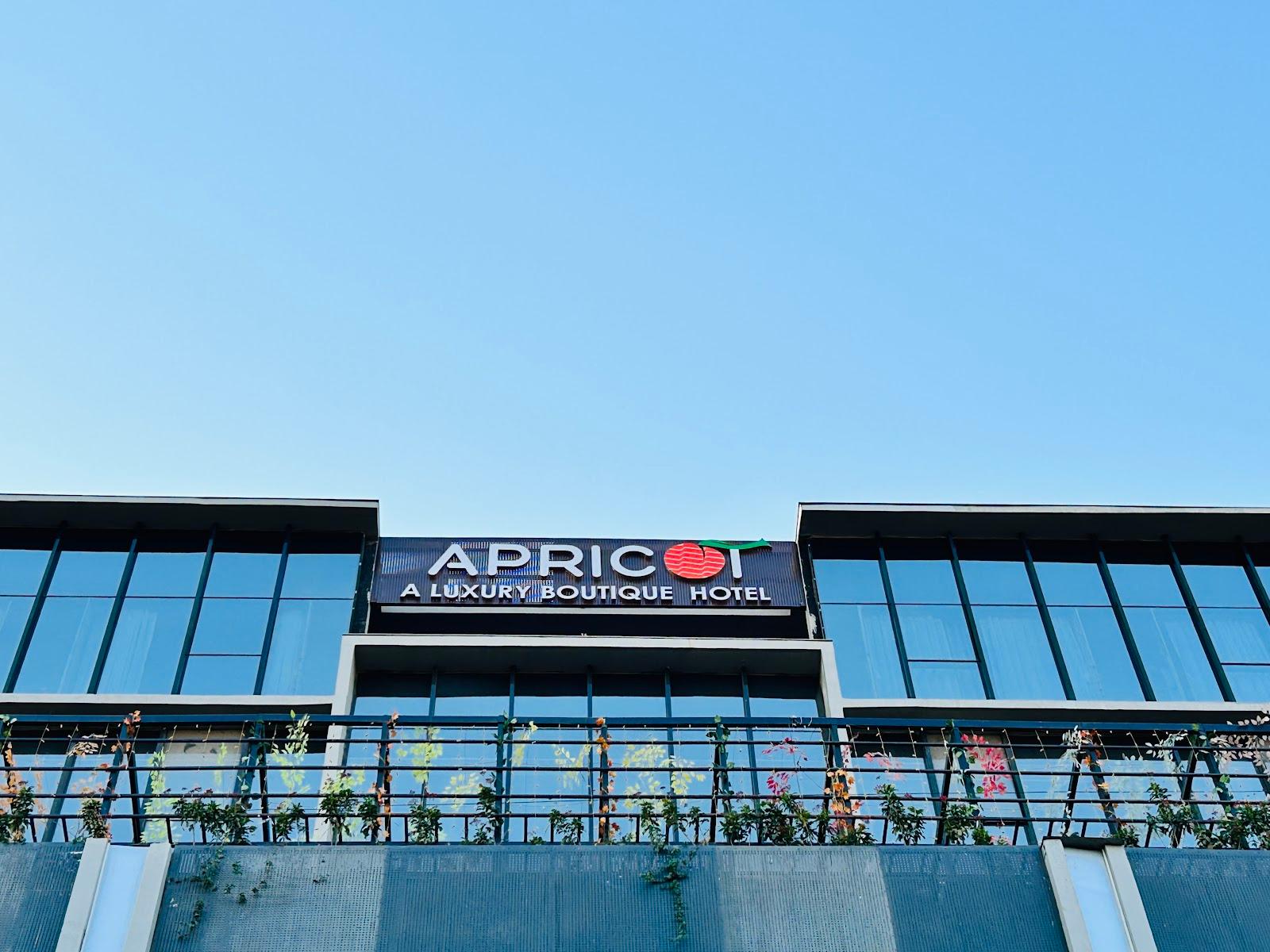 APRICOT HOTEL – photo 1
