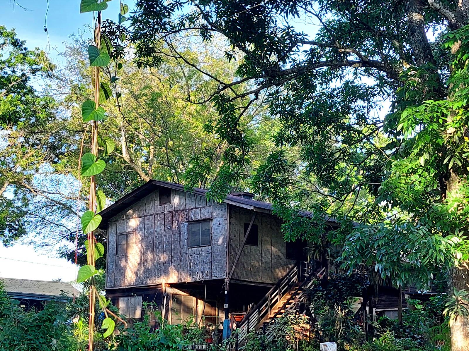 NASULI – photo 2