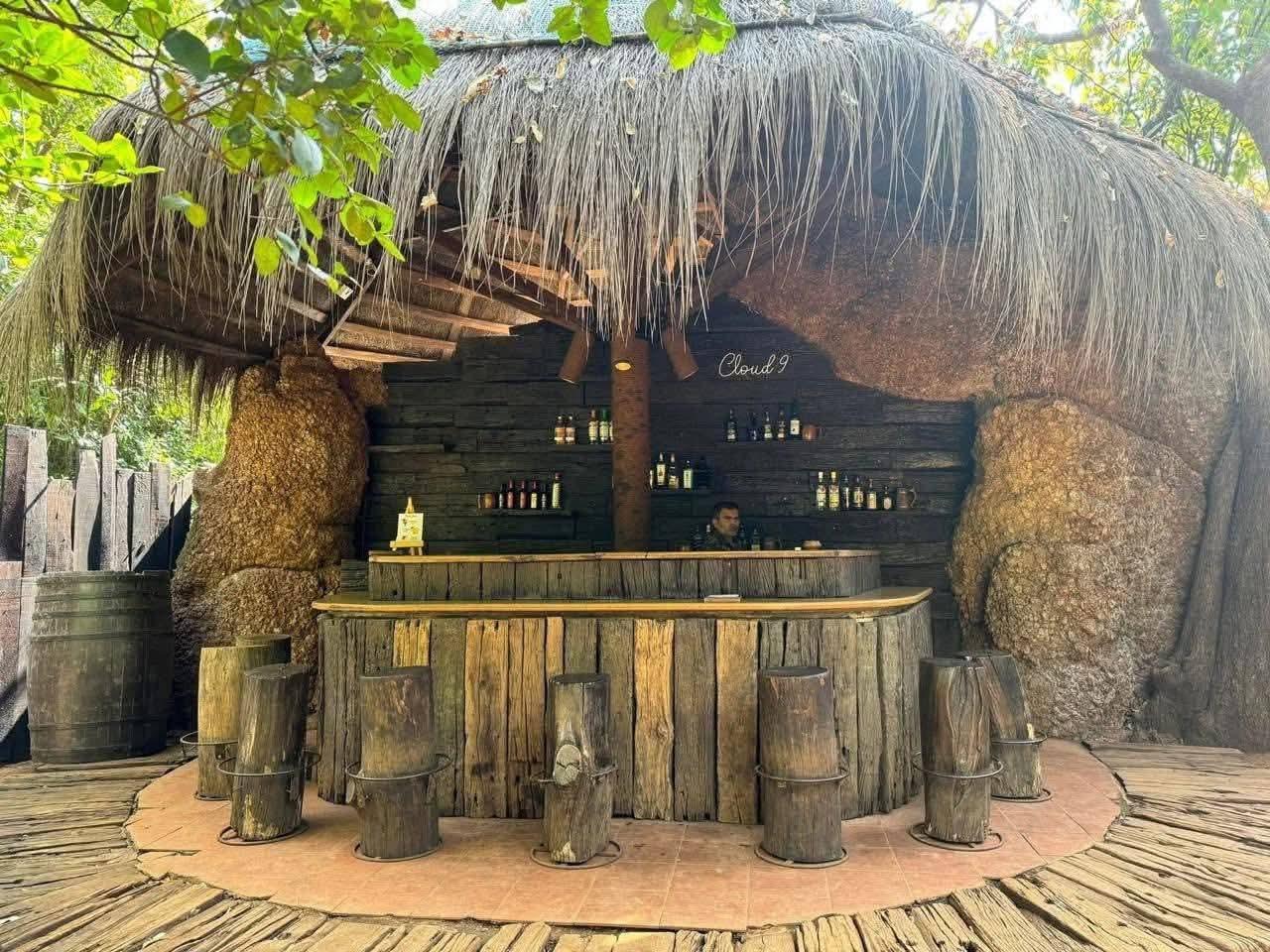 Wildernest Nature Resort – photo 1