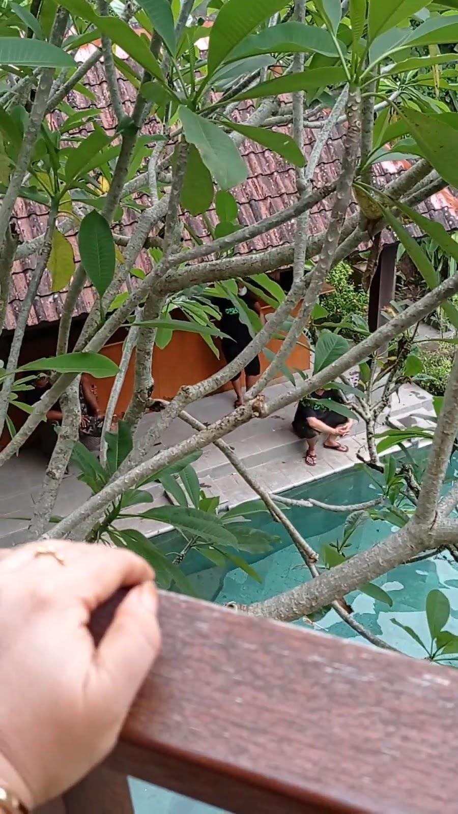 Ubud Wana Resort – photo 2