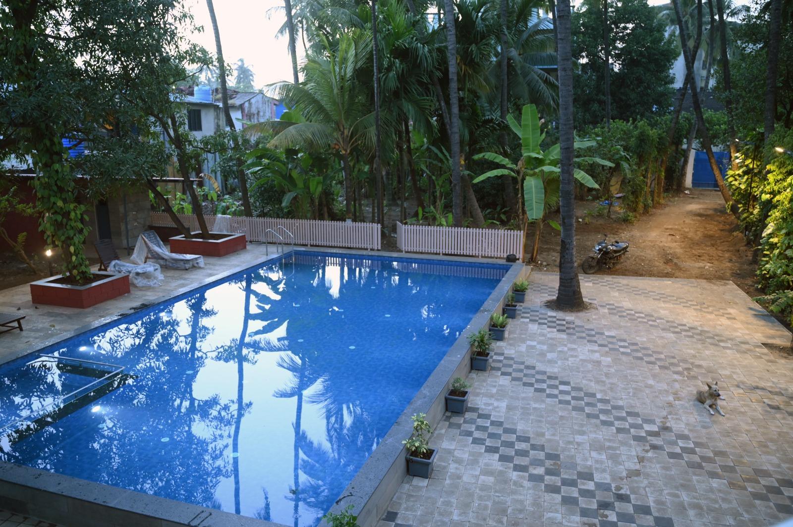 Aqua Nova Resort – photo 4