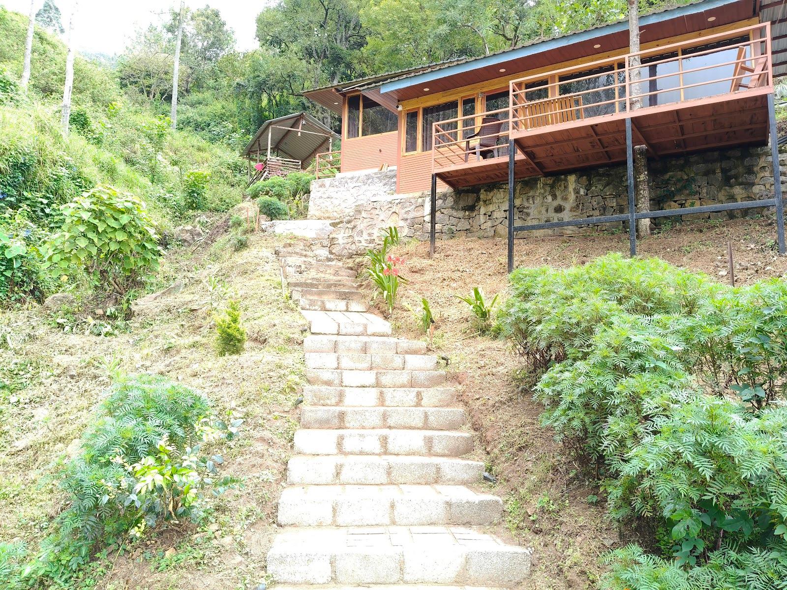 Spotbluestay – photo 2