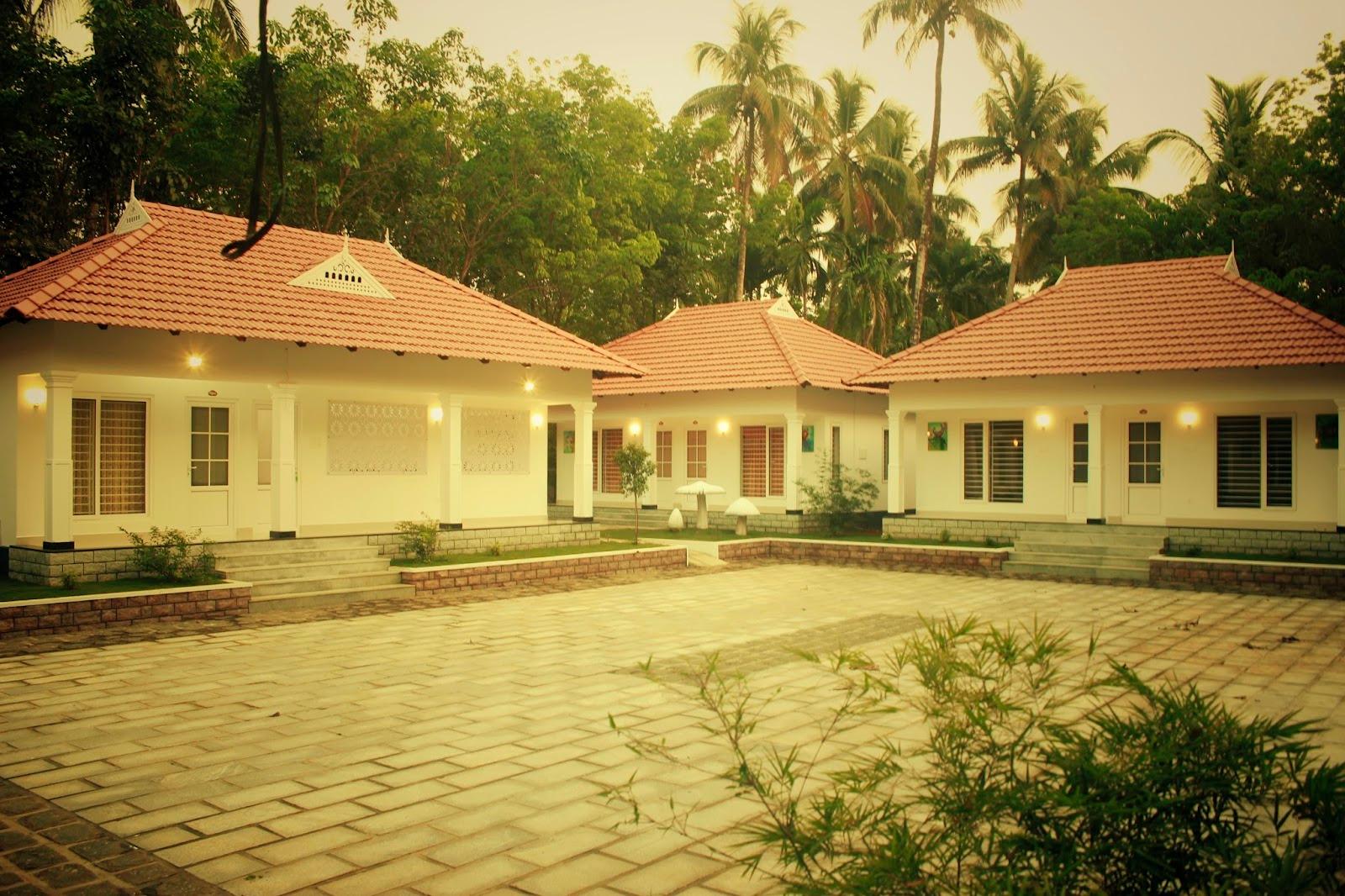 Mushroom Hut Resort - Athirappilly Resorts – photo 3