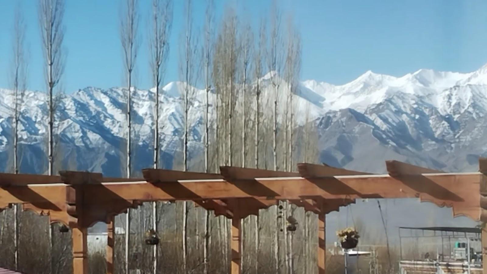 The Zen Ladakh – photo 2