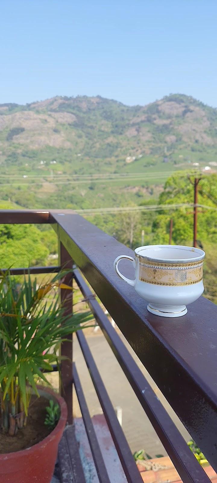 Biosphere home stay – photo 2