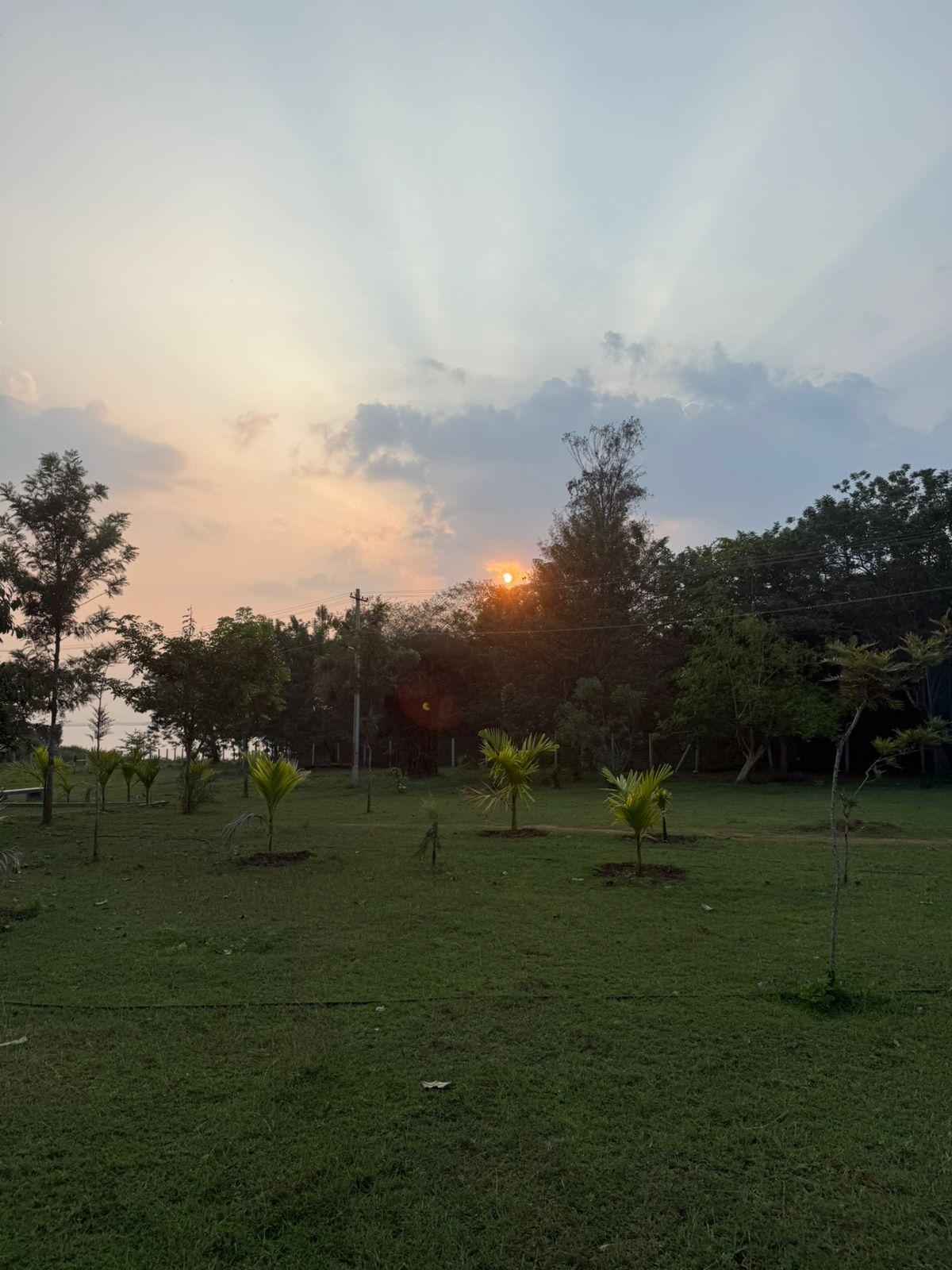 Kabini Kaanana Homestay – photo 4