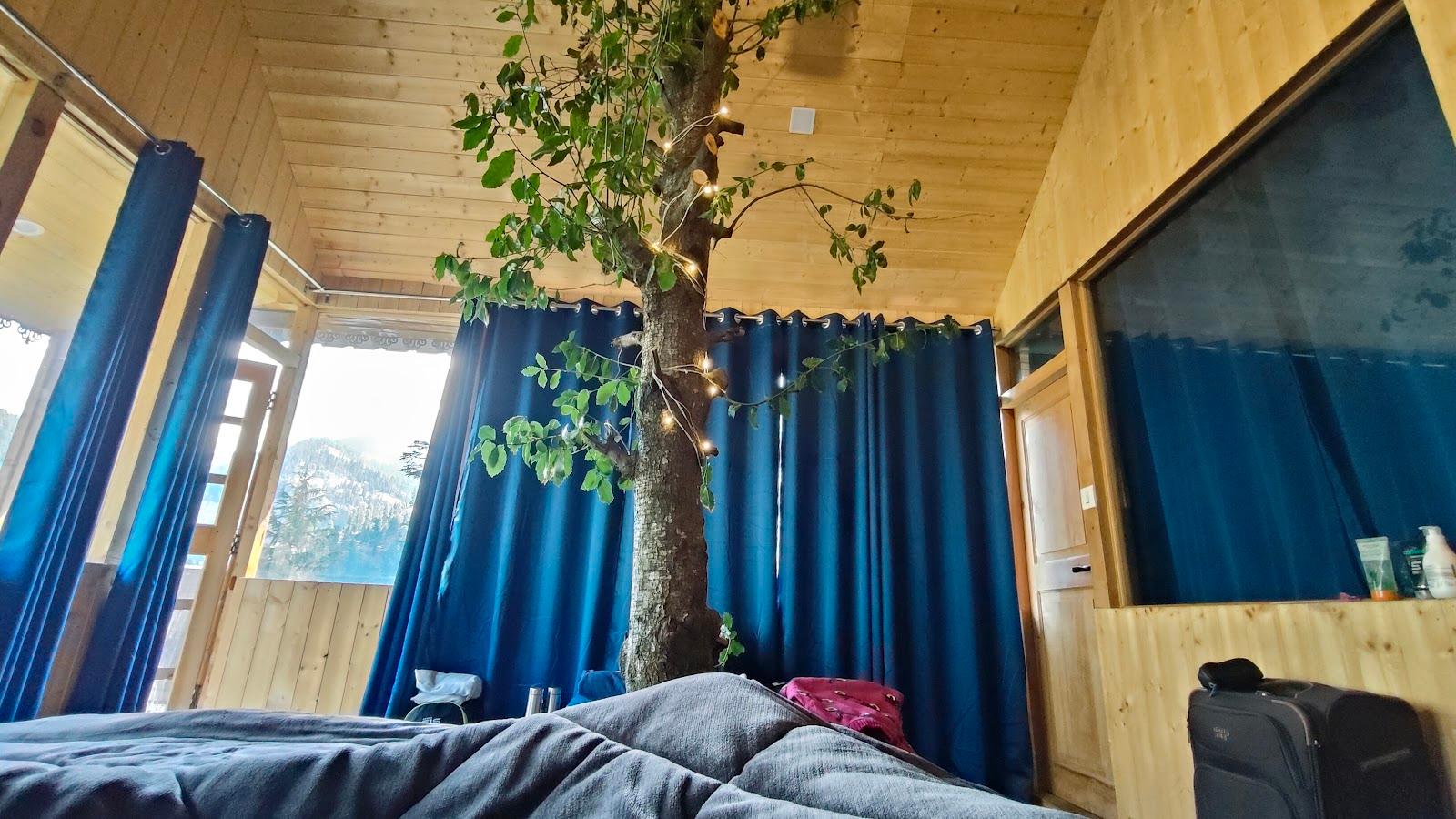 Into the woods | Treehouse | Jibhi – photo 3