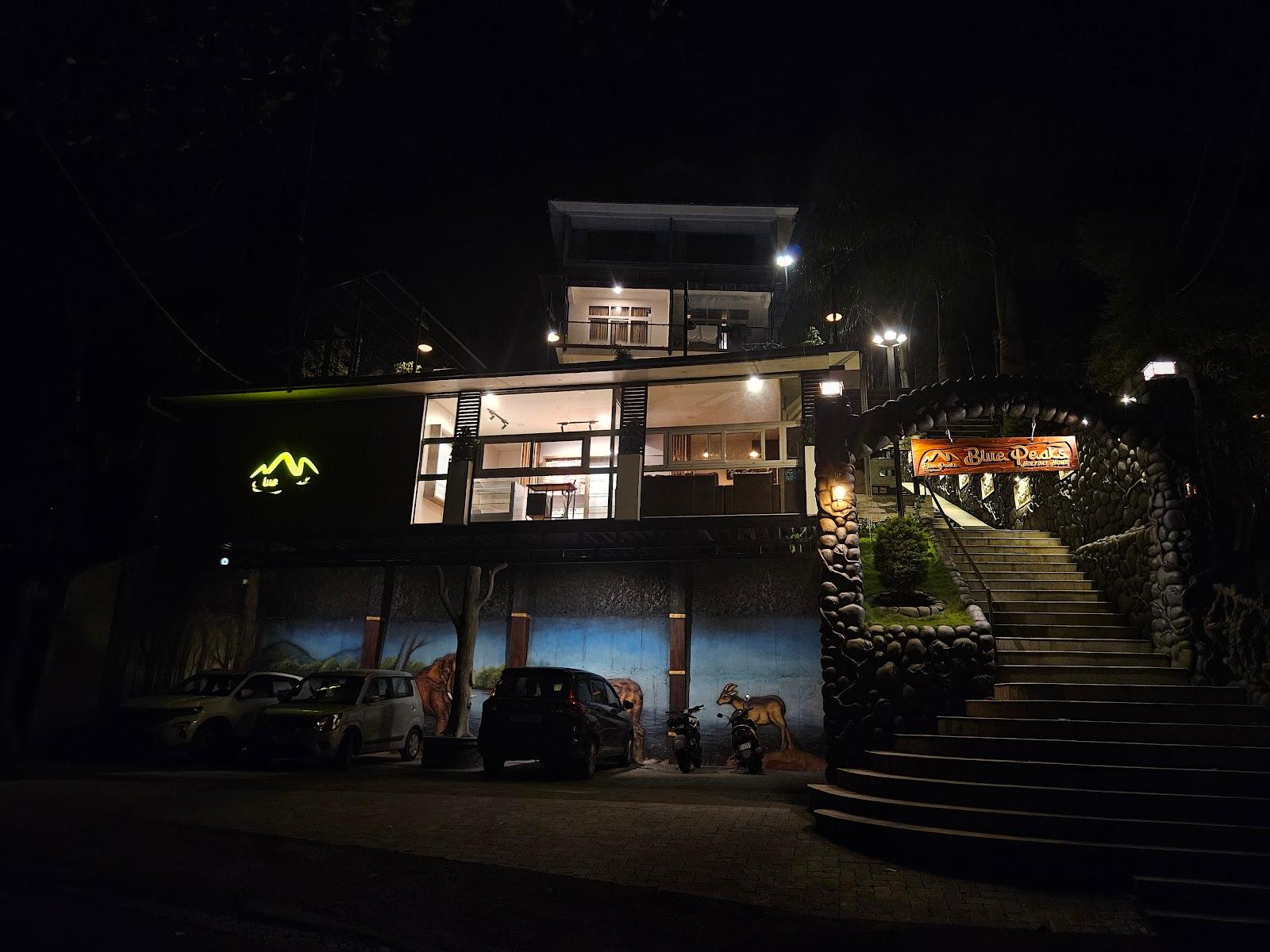 Blue Peaks Holidays Swimming Pool Cottage Munnar – photo 4