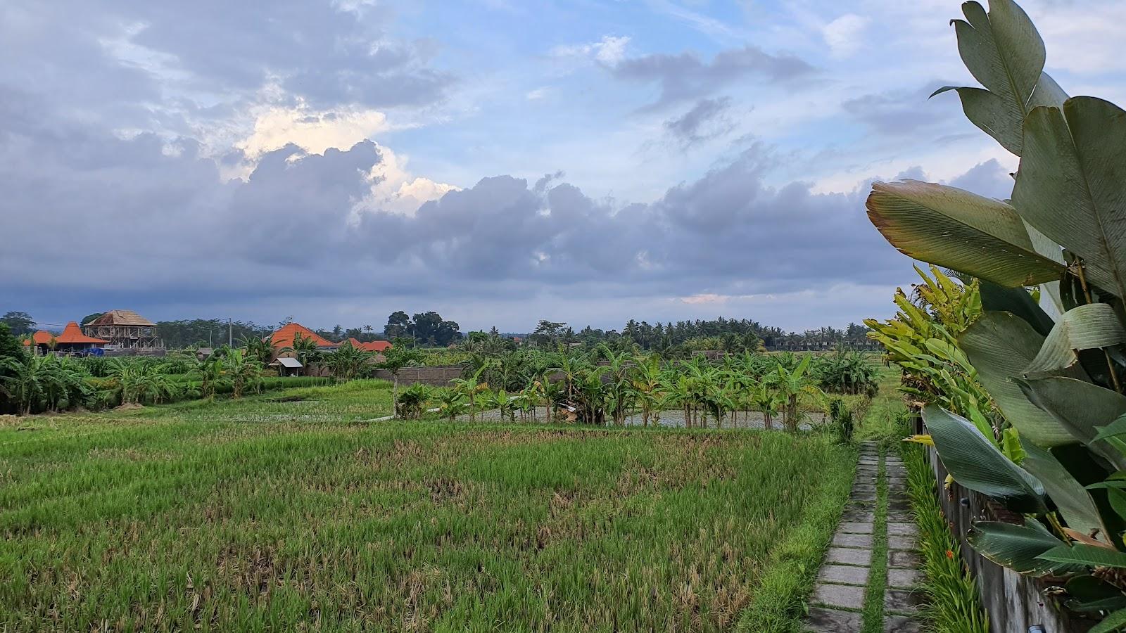 Villa D'Carik, Ubud – photo 4
