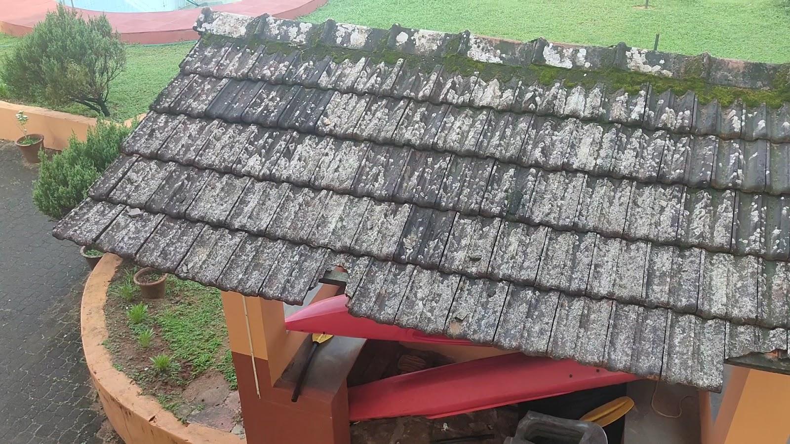 VAZCO Mangalore Beach Resort – photo 2