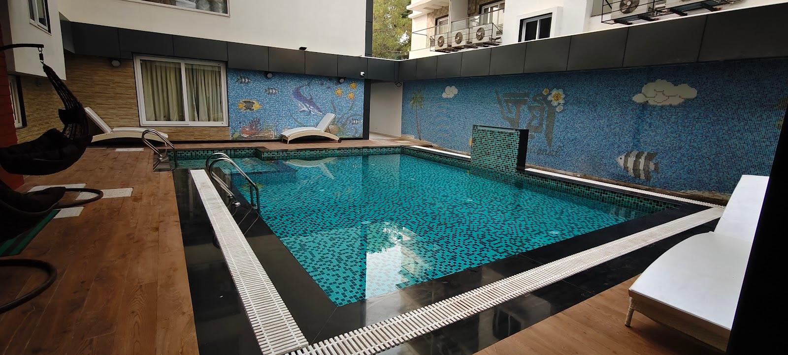 Trayee International – photo 4