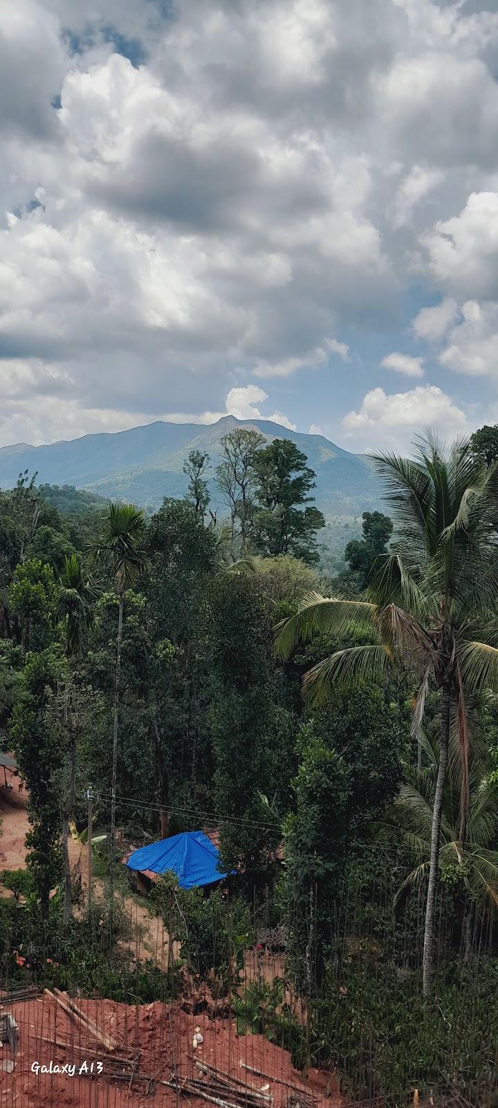 Wayanad
