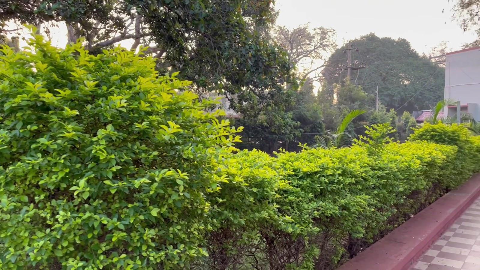 Hotel Mayura Chalukya Badami – photo 2