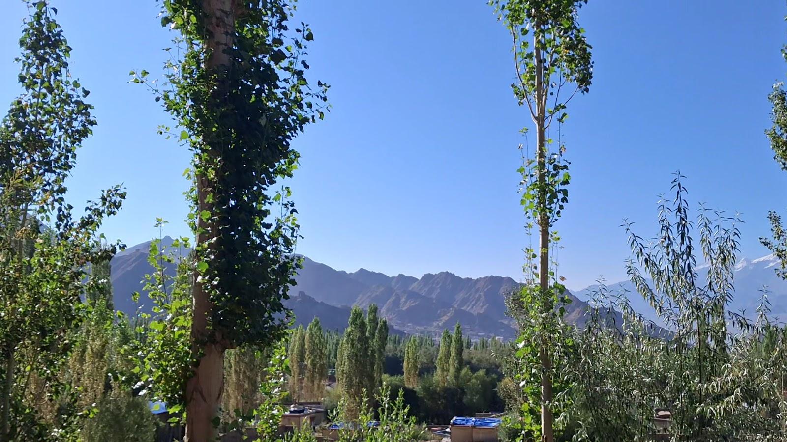 Hotel Ladakh Palace boutique – photo 2