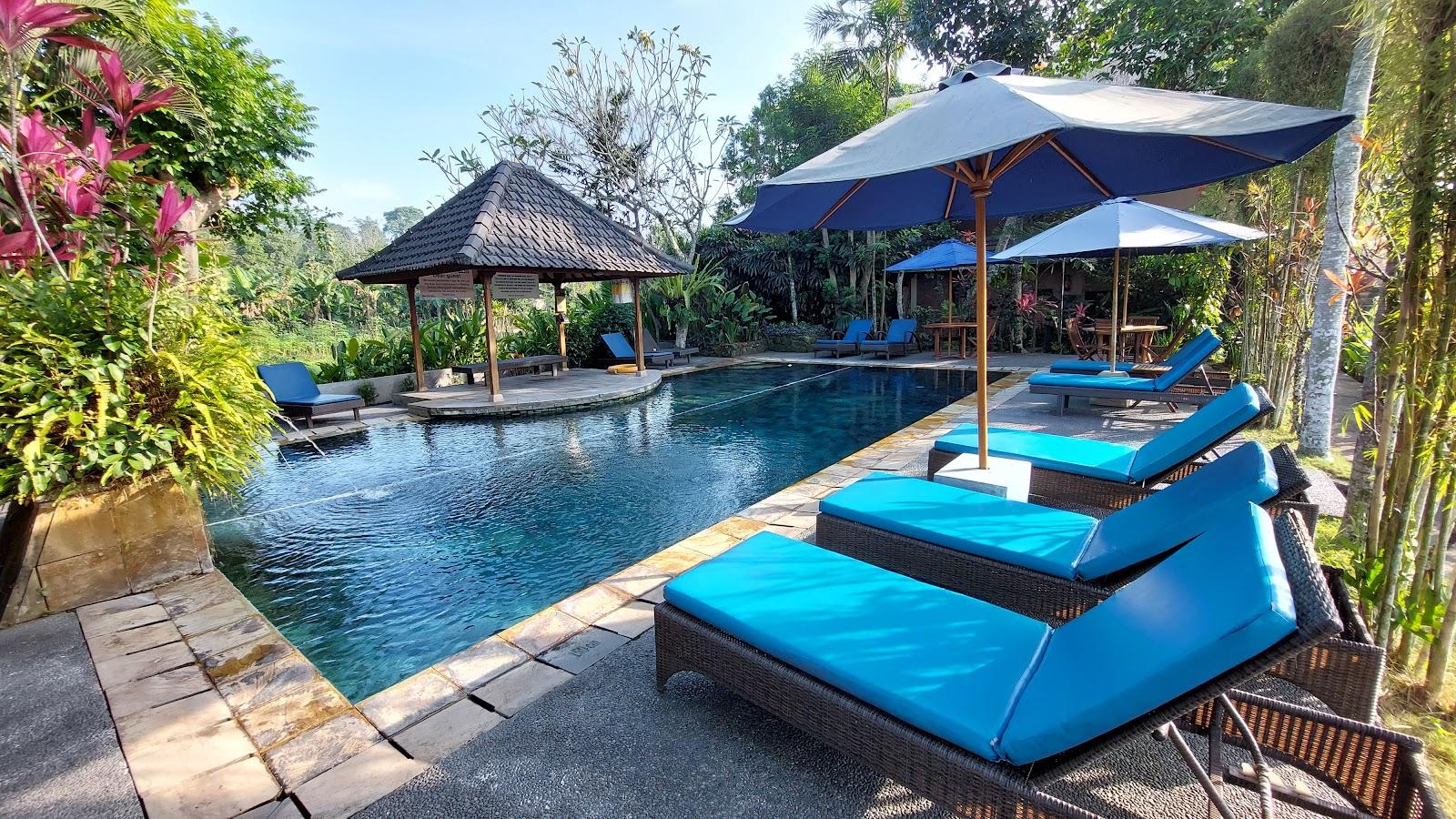 Tegal Sari Accommodation – photo 4